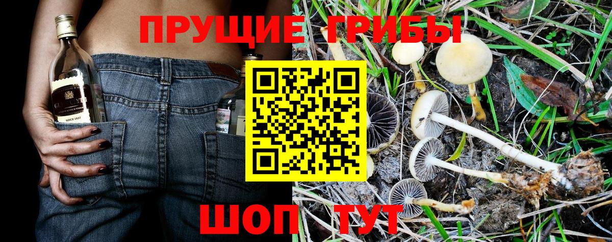 Галлюциногенные грибы ЛСД  Псилоцибиновые грибы мухоморы  Вход с VPN  Трёхгорный 