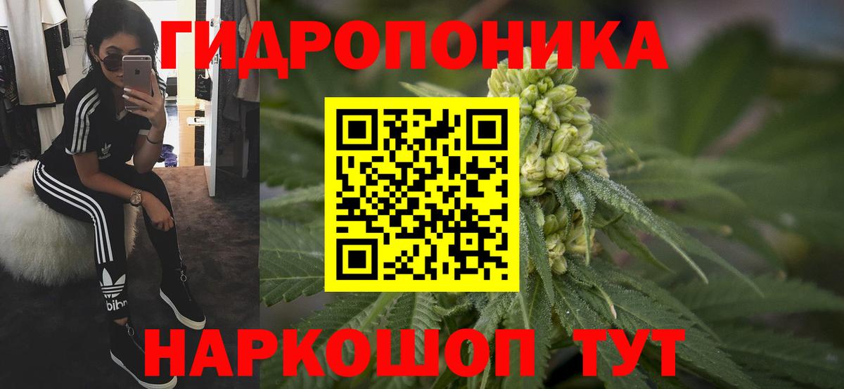 Трёхгорный  Каннабис OG Kush  Вход с VPN  Шишки марихуана VHQ 